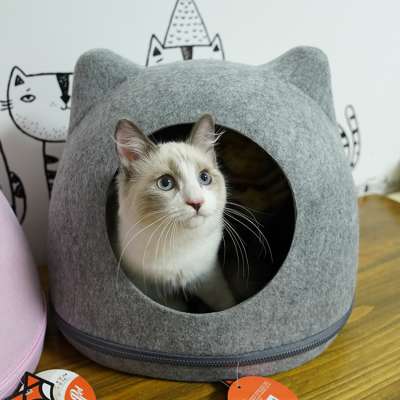 Wholesale Custom Cute Cat Shape Cat House For All Seasons